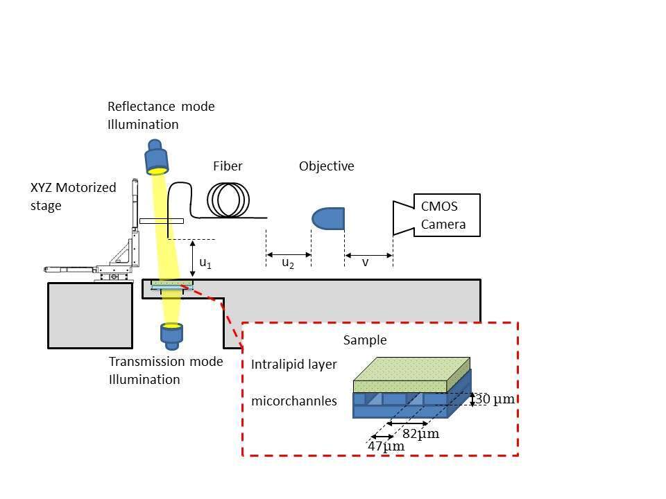 Figure 1 - Multicore micro-endoscope imaging system. White light LED illuminates the sample from underneath (transmission experiment) or from the top (reflectance experiment). 